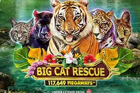 Big Cat Rescue Megaways