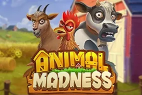 Animal Madness