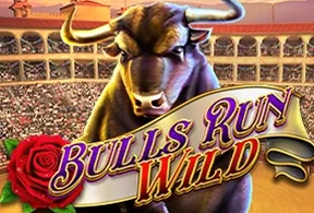 Bulls Run Wild